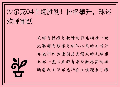 沙尔克04主场胜利！排名攀升，球迷欢呼雀跃