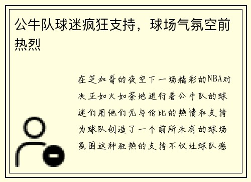 公牛队球迷疯狂支持，球场气氛空前热烈