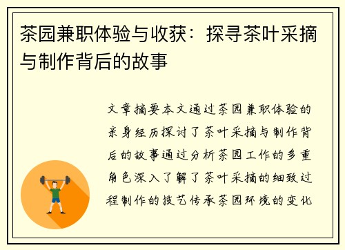 茶园兼职体验与收获：探寻茶叶采摘与制作背后的故事